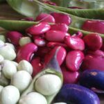 Health Benefits of Legumes