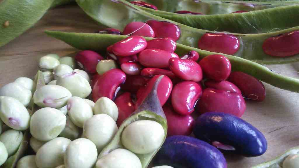 Health Benefits of Legumes