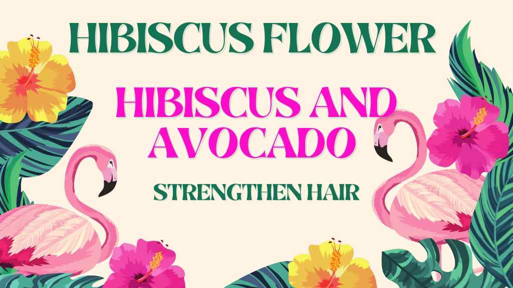 hibiscus flower oil